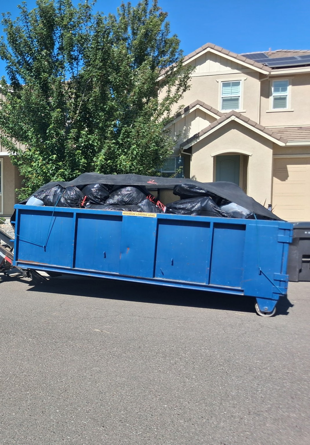 Dumpster Rental